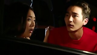 Koreanisches pärchen beim harten sex im auto